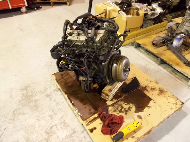 Nissan, 240sx, nissan sentra, nissan sentra se-r, G20, nissan skyline gtr, nissan silvia, S13